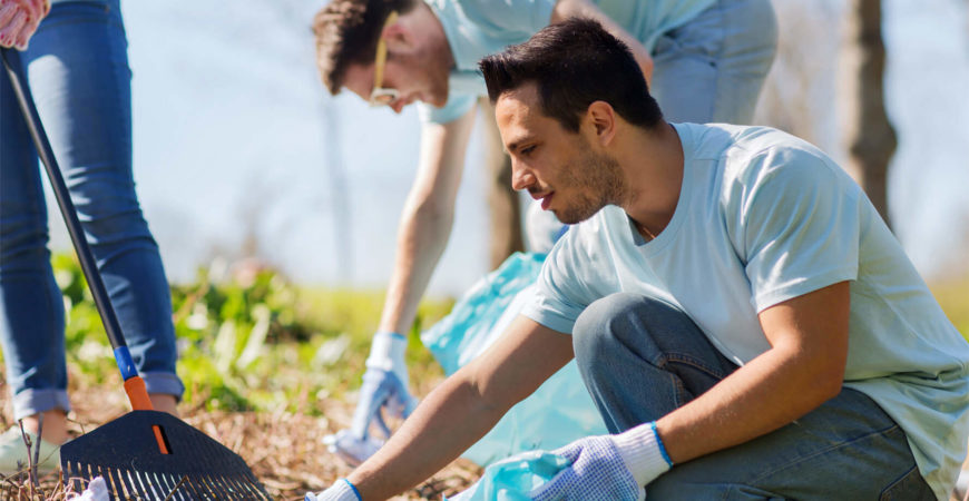 Tree Planting and Forest Cleaning